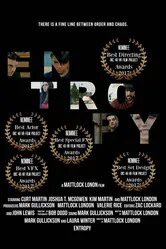 Entropy 2017 постер