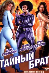 Тайный брат 2002 постер