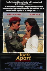 Раздираемый на части 1990 постер