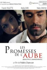 Les promesses de l'aube постер