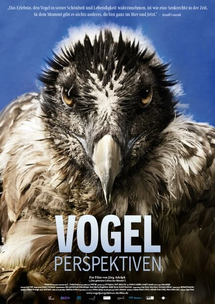 Постер Vogelperspektiven