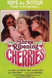 Three Ripening Cherries постер