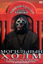 Могильный холм 1981 постер