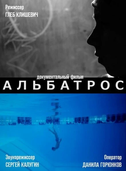Постер Альбатрос 2013
