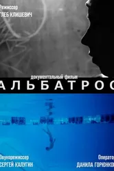 Альбатрос 2013 постер