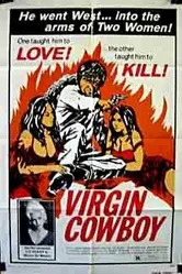Virgin Cowboy постер