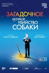Загадочное ночное убийство собаки 2012 постер