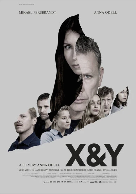 Постер X и Y 2018