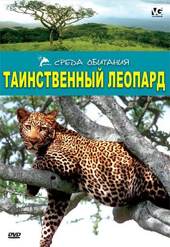 Постер Таинственный леопард 2001