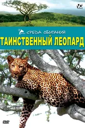 Таинственный леопард 2001 постер