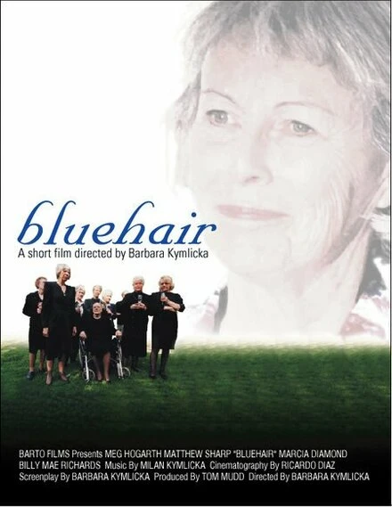 Постер Bluehair 2001
