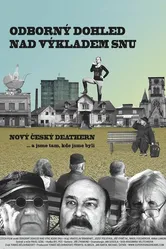 Odborný dohled nad výkladem snu постер