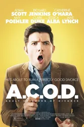 Взрослые дети развода 2013 постер