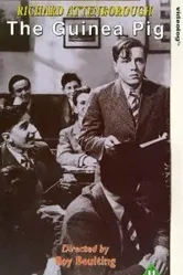 Морская свинка 1948 постер