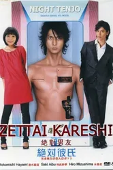 Идеальный парень 2008 постер