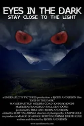 Eyes in the Dark 2010 постер