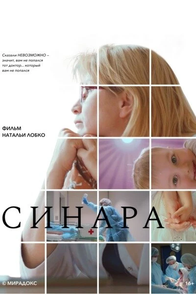 Постер Синара 2025