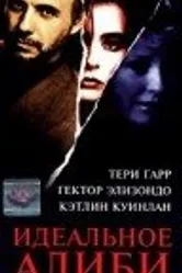 Идеальное алиби 1995 постер