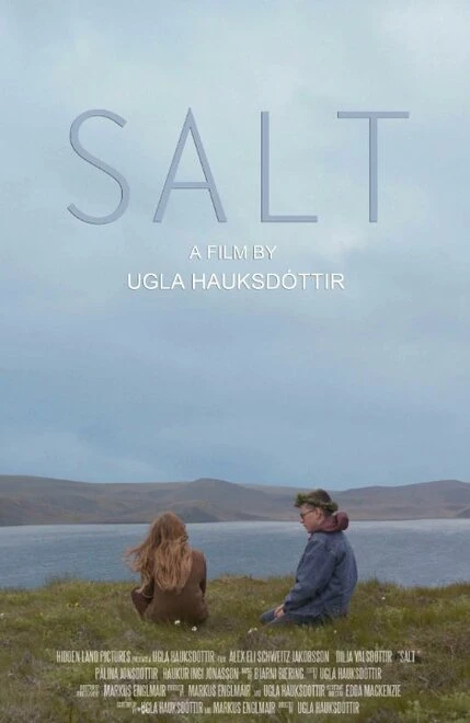 Постер Salt 2014, США