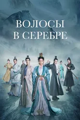 Волосы в серебре 2019 постер