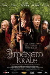 Во имя короля 2009 постер