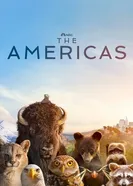 The Americas постер