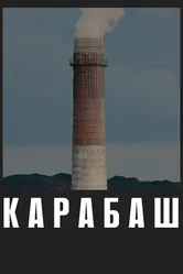 Карабаш 2019 постер