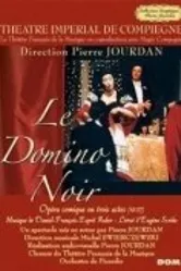 Черное домино 1995 постер