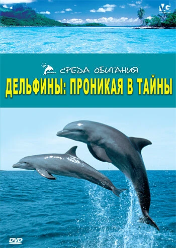 Постер Дельфины: Проникая в тайны 2006