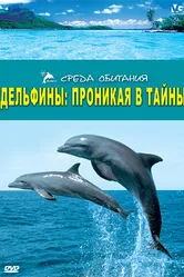 Дельфины: Проникая в тайны 2006 постер