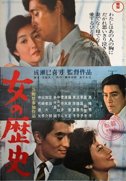 Постер Судьба женщины 1963