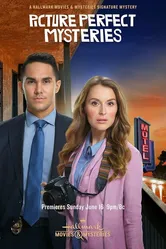 Picture Perfect Mysteries: Newlywed and Dead постер