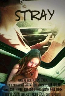 Постер Stray 2008