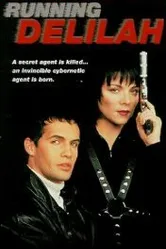 Специальный агент Дилайла 1993 постер