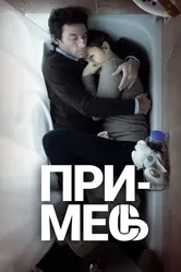 Примесь 2013 постер