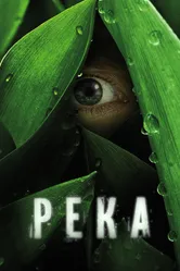 Река 2012, США постер