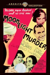 Moonlight Murder постер