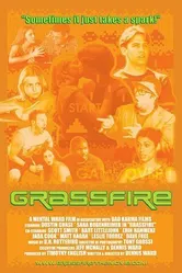 Grassfire постер