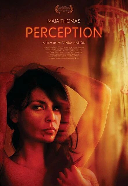 Постер Perception 2013