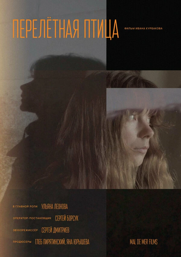 Постер фильма