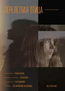 Перелетная птица 2024 постер