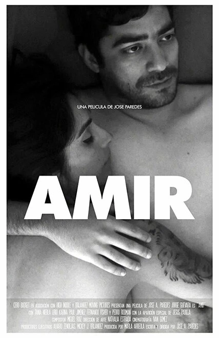 Постер Amir 2016