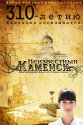Неизвестный Каменск 2011 постер