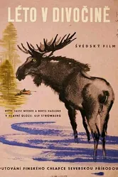 Лето в дикой местности 1957 постер