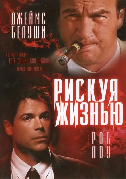 Постер Рискуя жизнью 1996