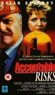 Постер Acceptable Risks
