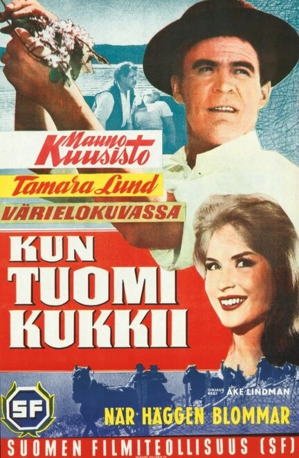 Постер Kun tuomi kukkii