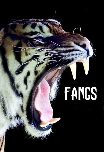 Постер Fangs
