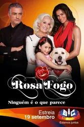 Роза в огне 2011 постер