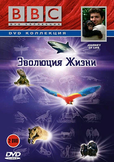 Постер BBC: Эволюция жизни 2005